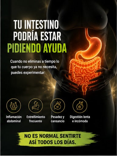 Producto